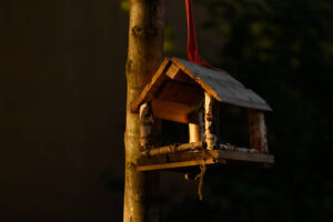 Futterhäuser für Vögel